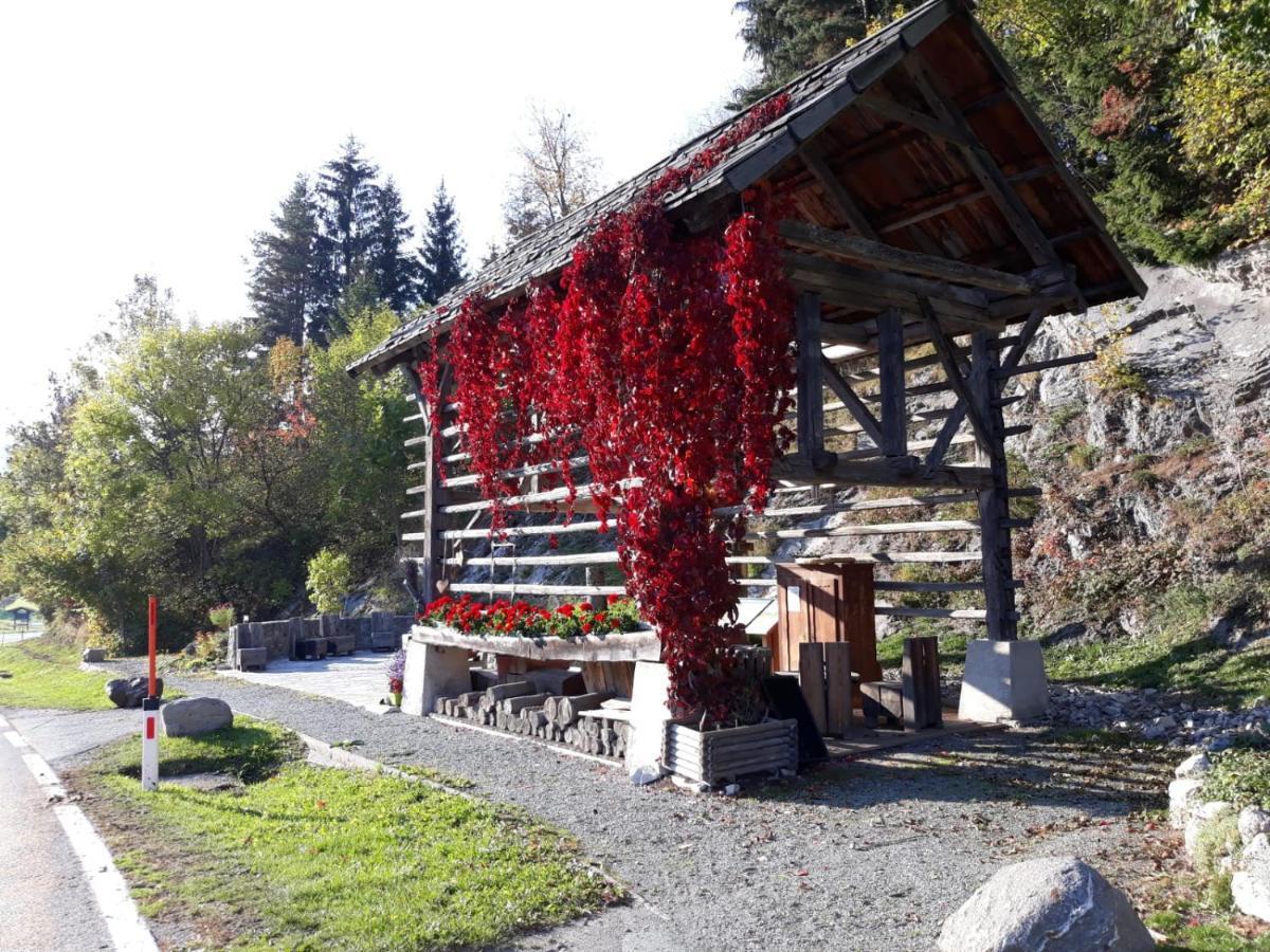 바이센제 Landhaus Vogel 아파트 외부 사진